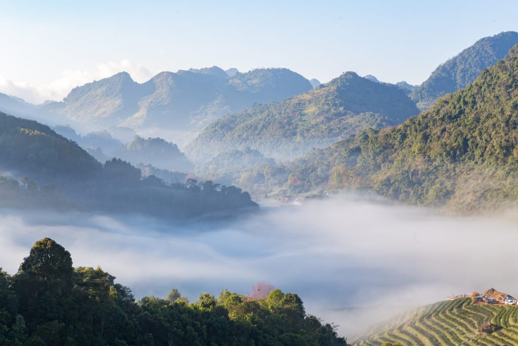 Morning Fog at Doi Ang Khang (Fang City, Thailand)