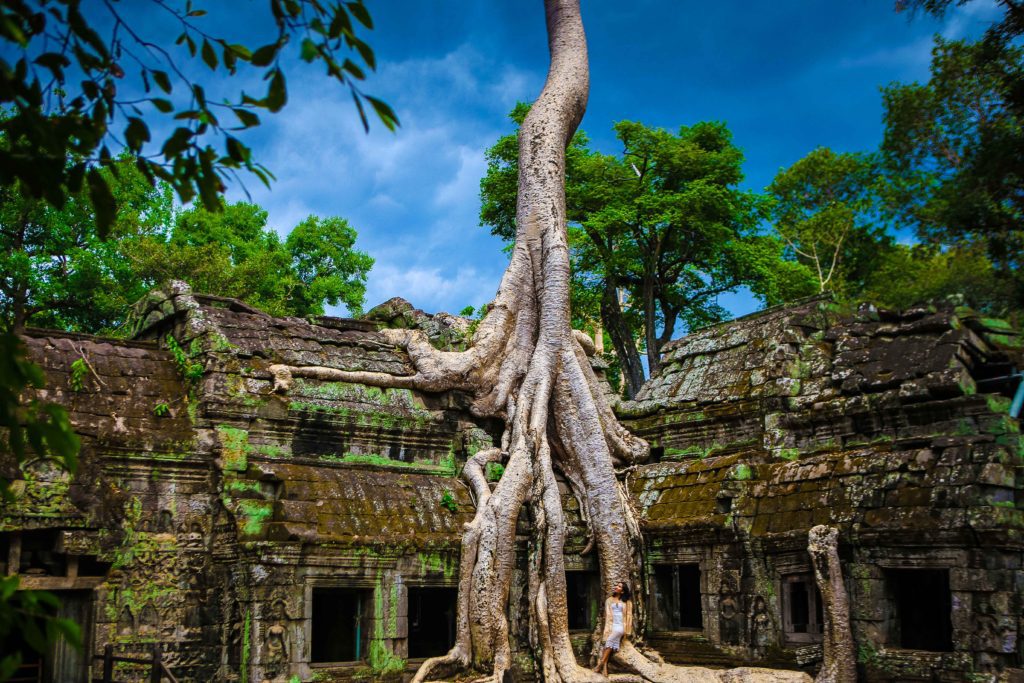 Park Hyatt Siemreap 013